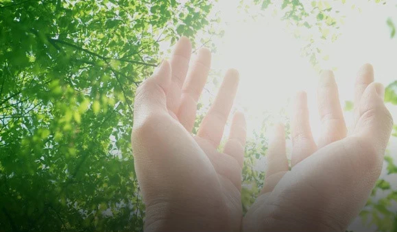 slider image
